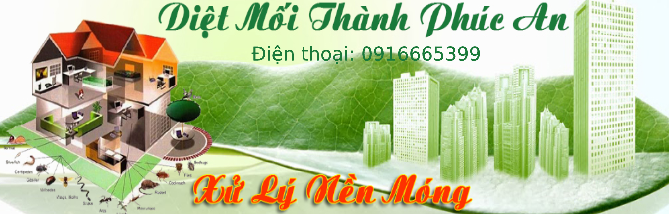 Diệt mối tận gốc