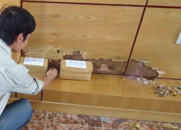 Diệt mối tại bình dương